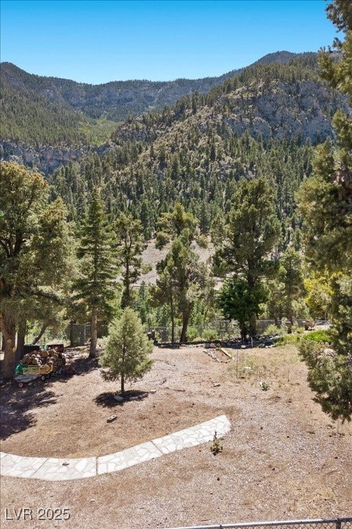 0 Crestview Drive Apn#129-25-410-108, Mount Charleston, NV 89124 - photo 1