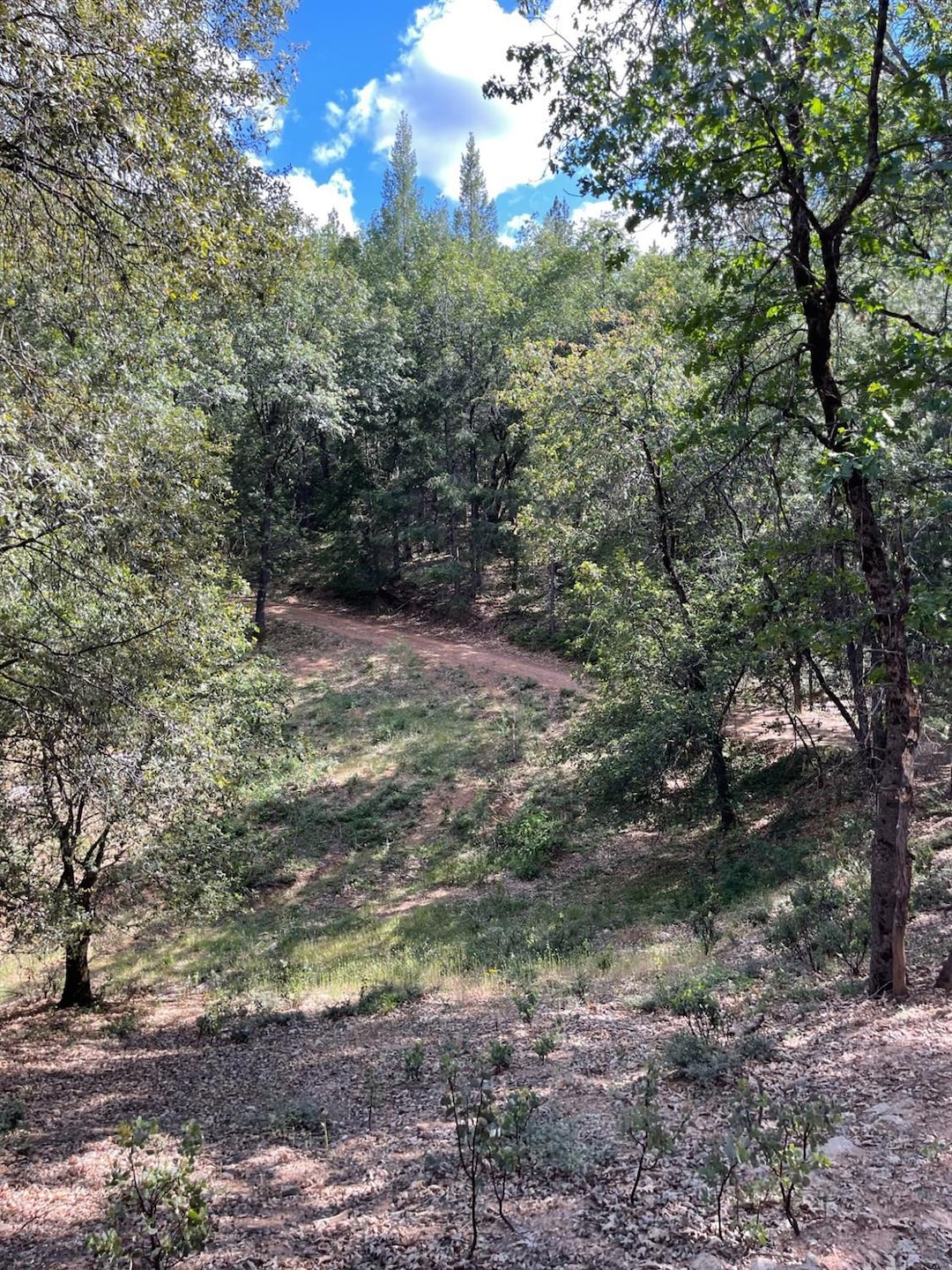 0 Loggers Trail, Colfax, CA 95713 - photo 1