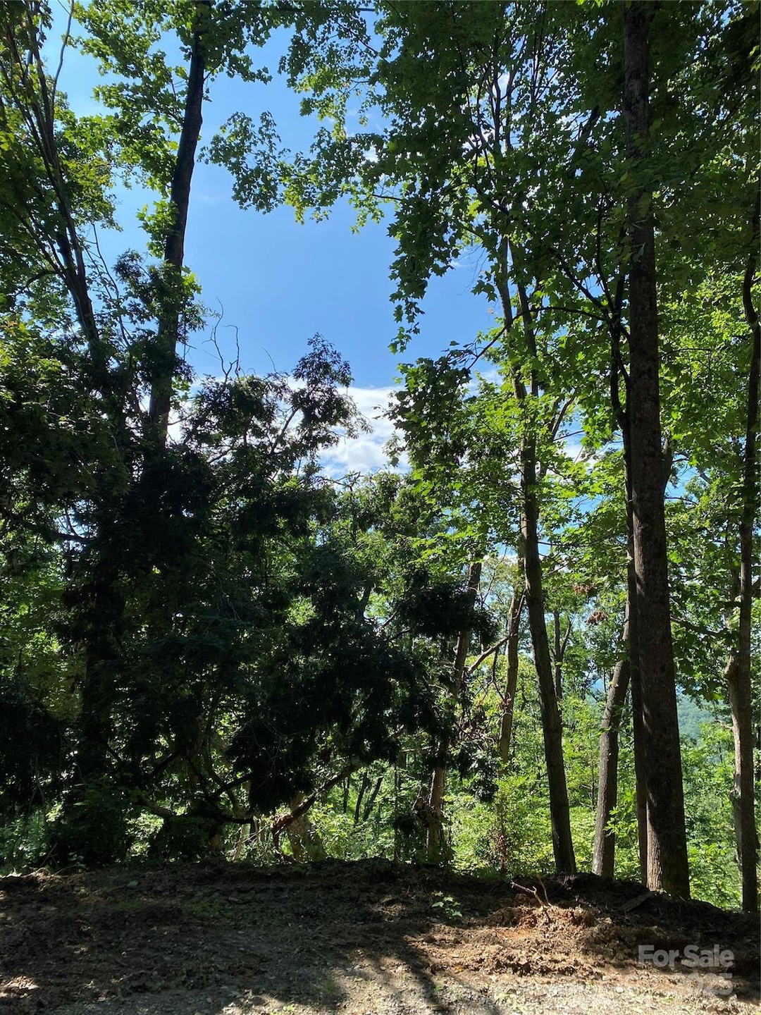 0 Winesap Blvd unit 81 CAR4297611, Lake Lure, NC 28746 - photo 1