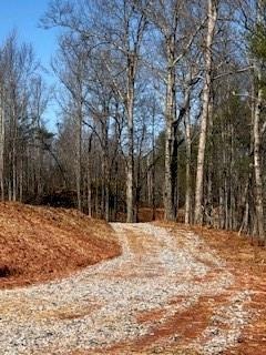 4 Auraria Rd, Dahlonega, GA 30533 - photo 1