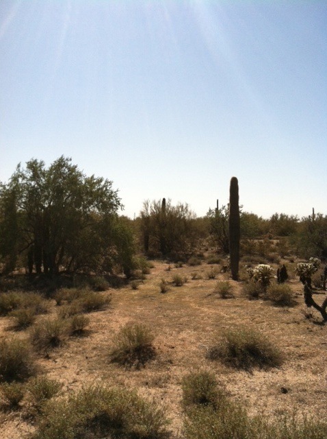BUSHWOOD 2 to the N centr of Prop