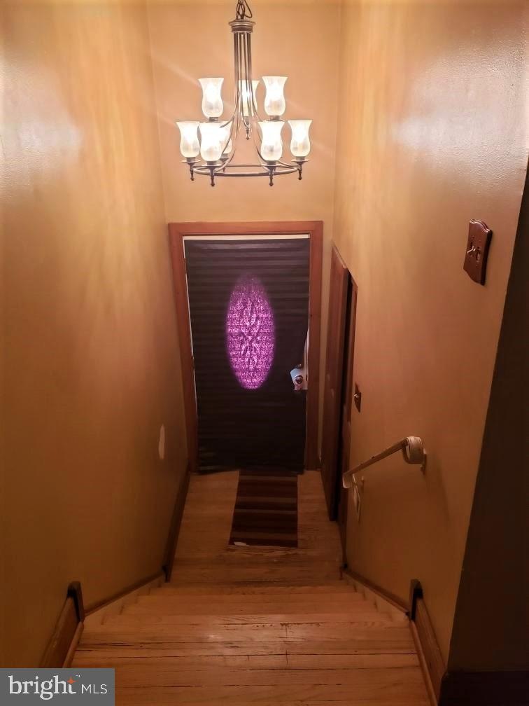 113 Laureba Ave, Stratford, NJ 08084 - photo 1