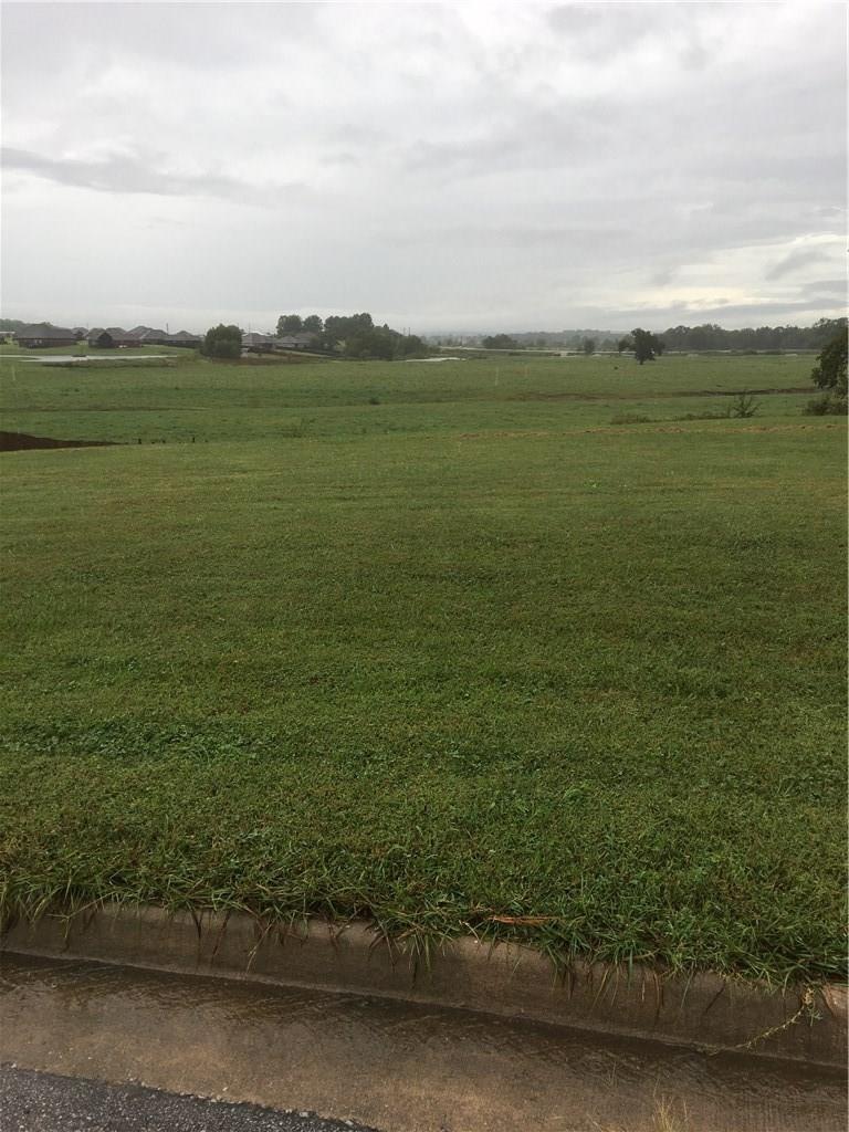 0 Major Stone Cir unit 1127528, Prairie Grove, AR 72753 - photo 1