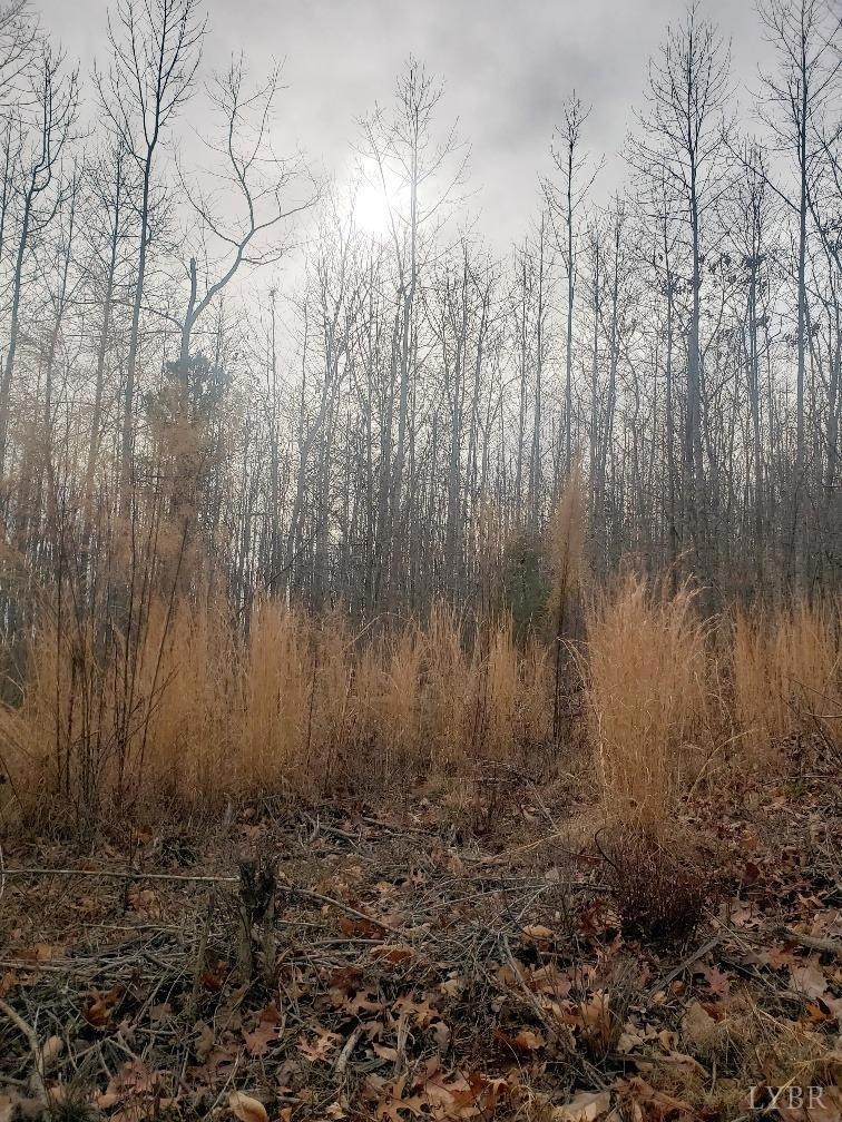 0 Mountain Creek Rd unit 363467, Prince Edward, VA 23942 - photo 1