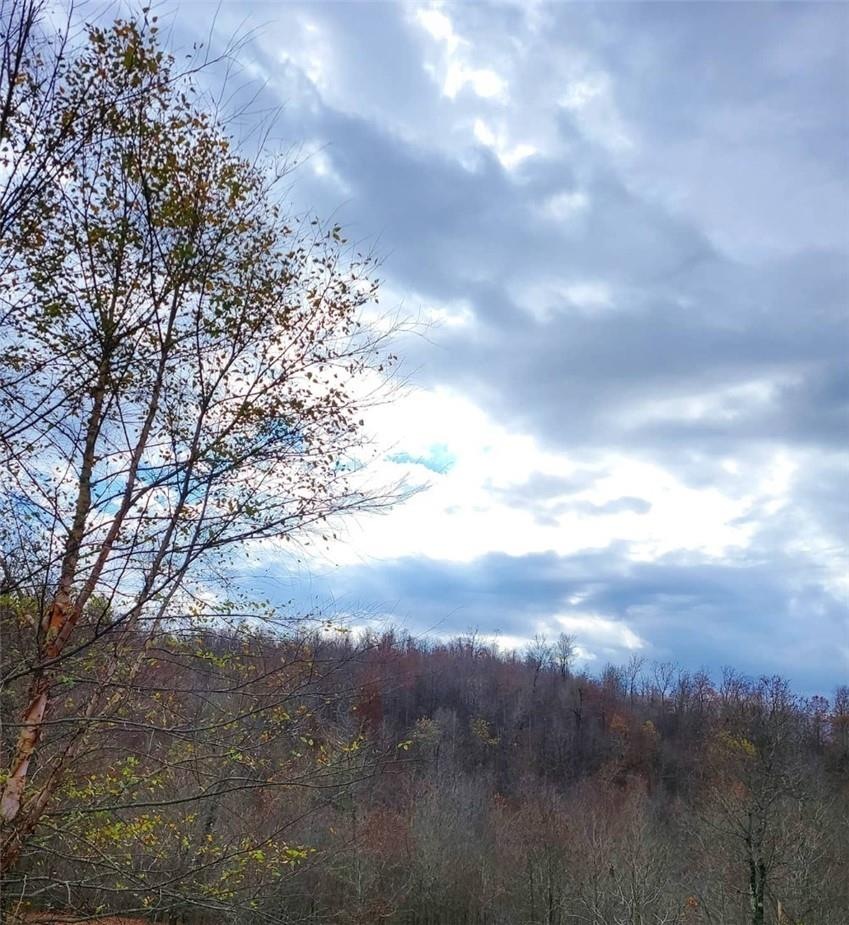 20 acres Parks Cemetery Rd, Winslow, AR 72959 - photo 1