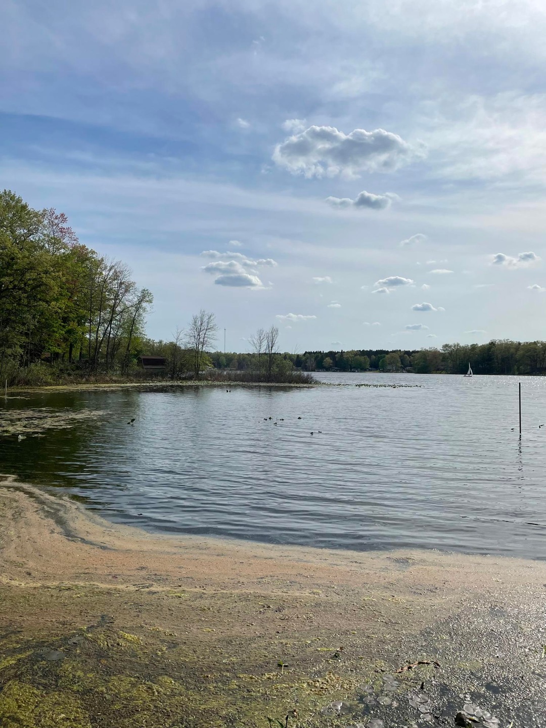 263 Pine St, Bitely, MI 49309 - photo 1