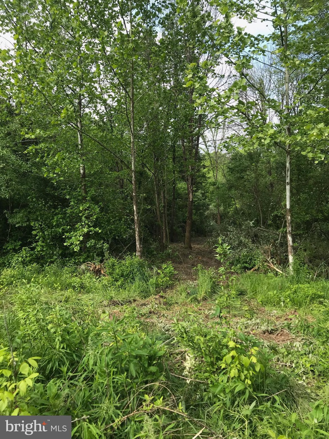 1641 Deer Rapids Rd, Strasburg, VA 22657 - photo 1