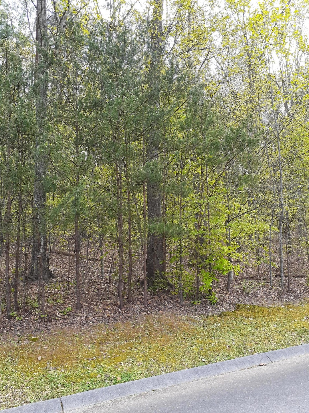 226 Andorra Ln.