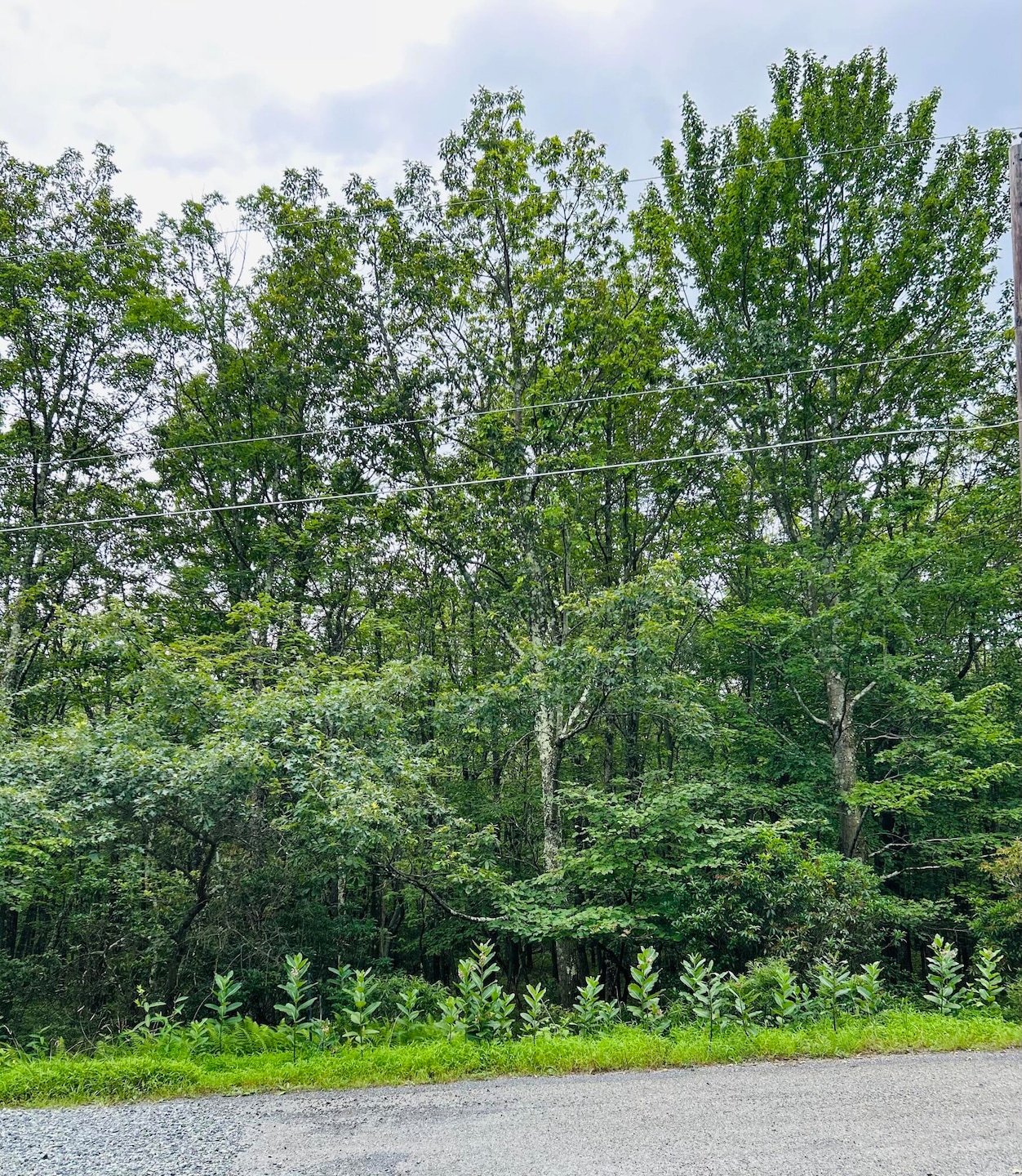 Lot A107 Chippy Cir, Jim Thorpe, PA 18229 - photo 1