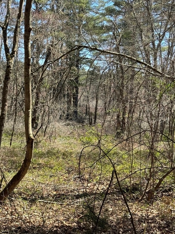 3 Mendon Rd, Northbridge, MA 01534 - photo 1