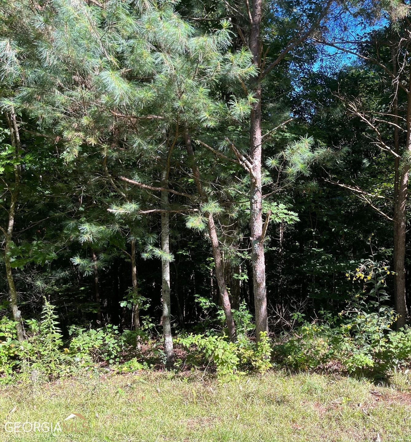 0 White Pine Cir unit 10143040, Demorest, GA 30535 - photo 1