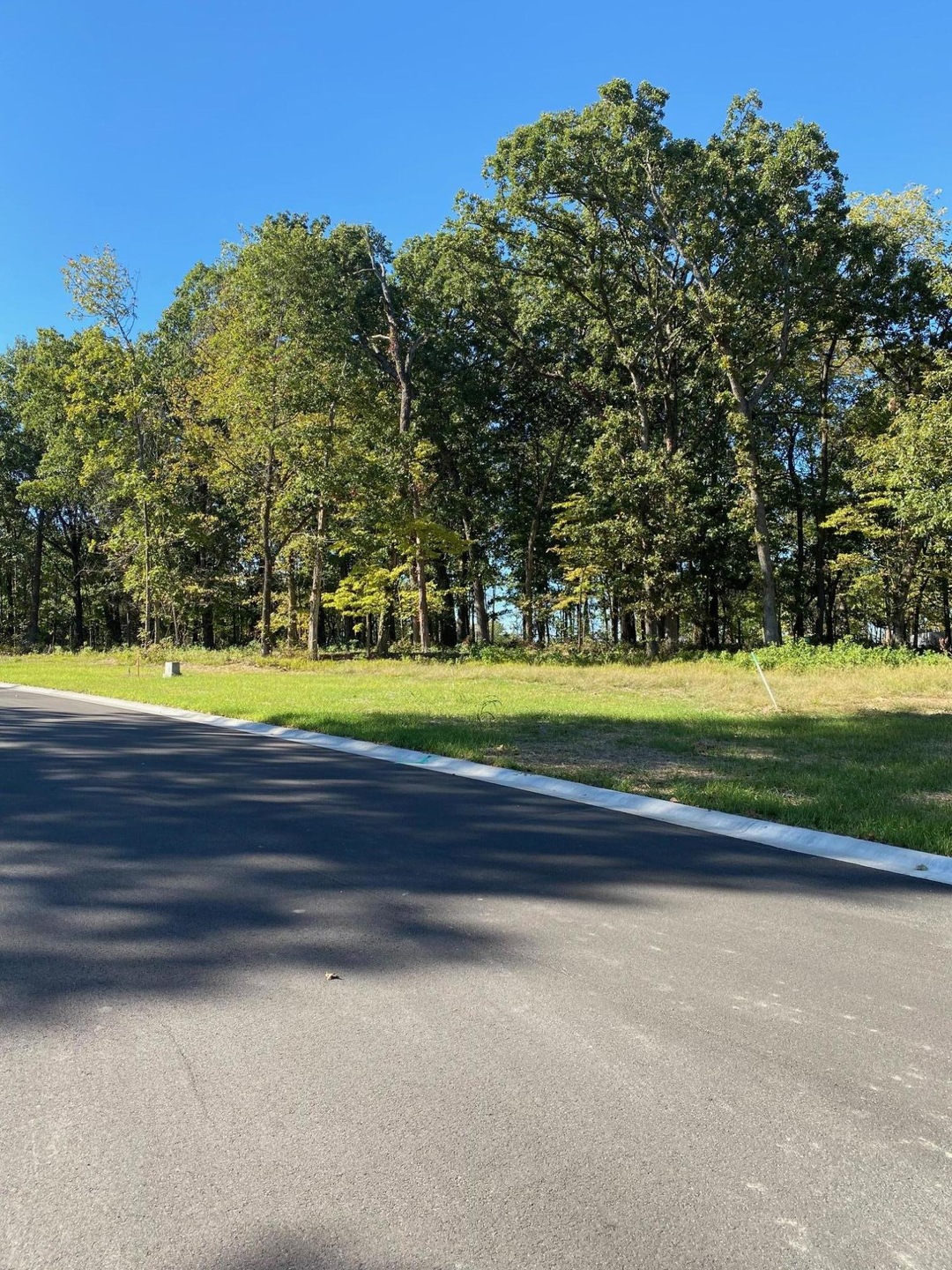 Lot 6 the Estates of Enniskerry, Nixa, MO 65714 - photo 1