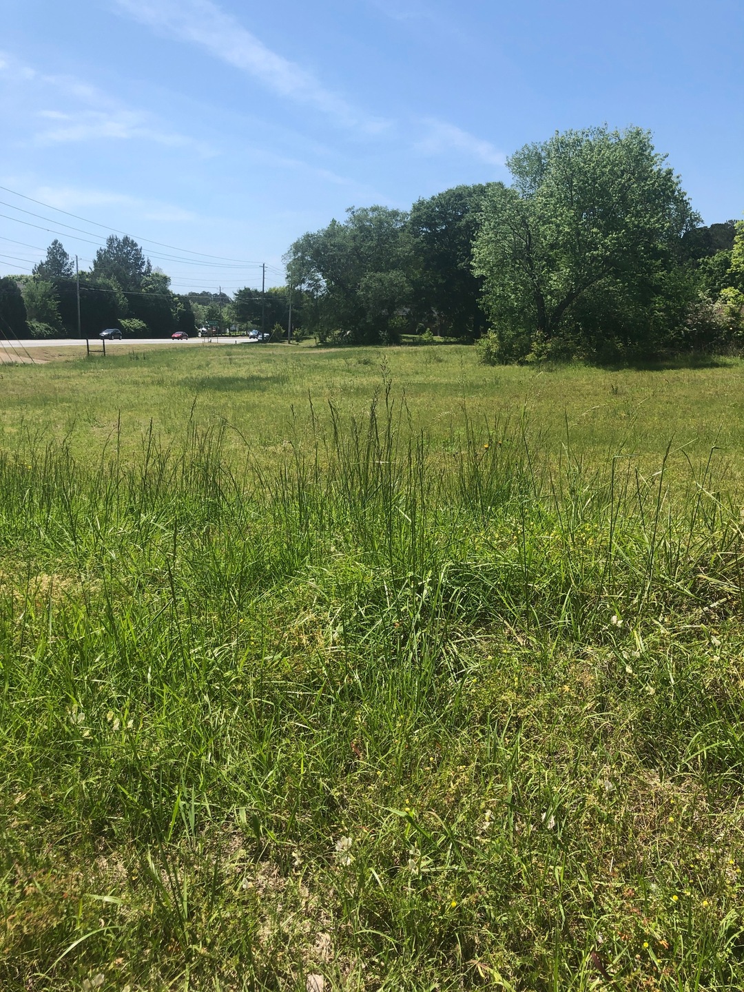 Lot 2 Closeup Photo