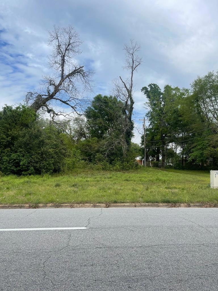 802 S Madison St, Albany, GA 31701 - photo 1