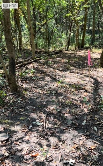 Lot 1 Horan Rd, Brooklyn, WI 53521 - photo 1