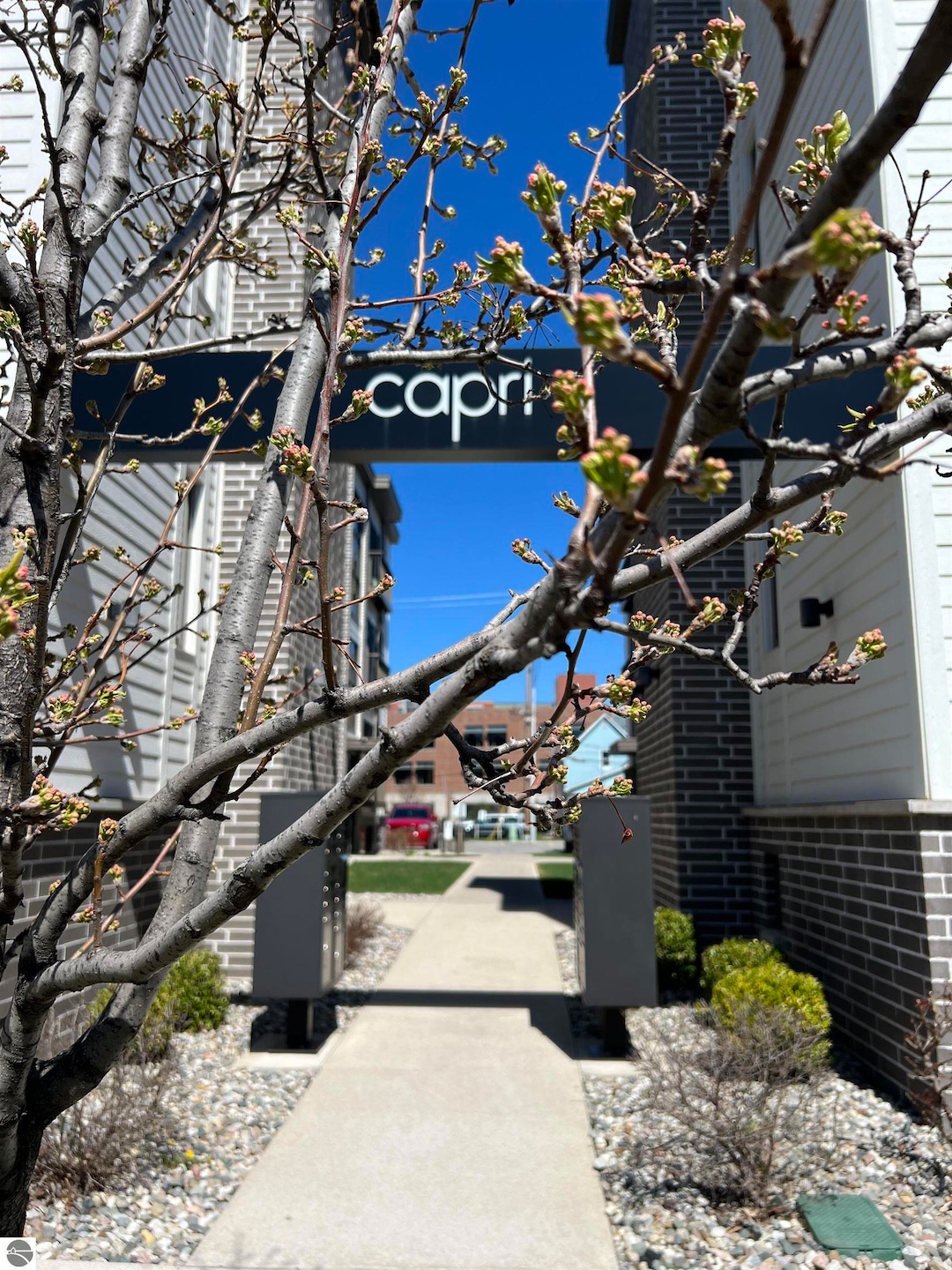 135 E Eighth St unit 211, Traverse City, MI 49684 - photo 1