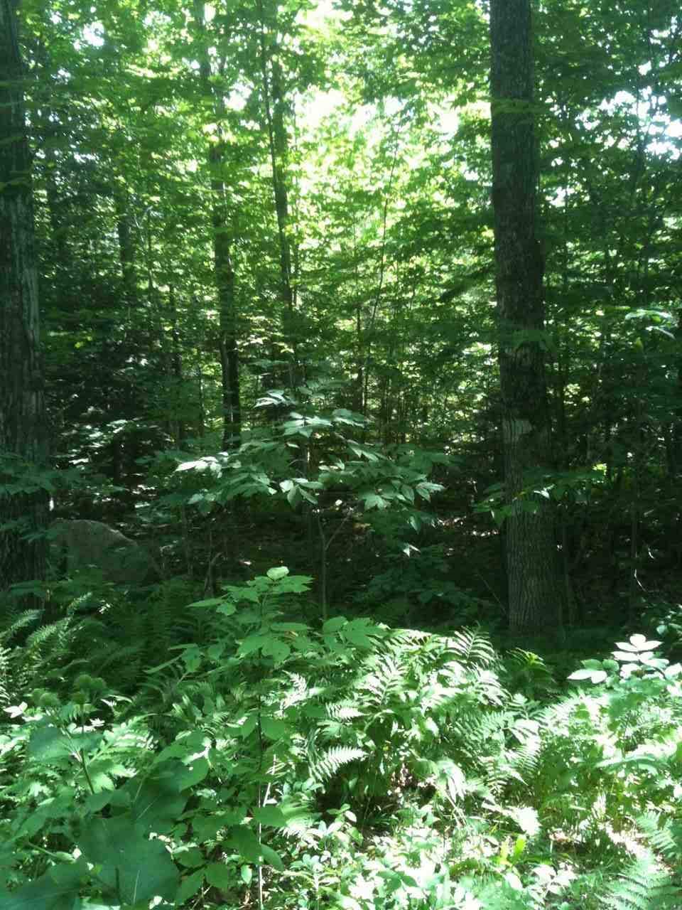 00 Clement Rd, Orange, VT 05086 - photo 1