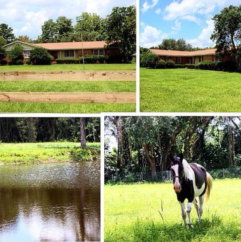 8821 Grooverville Rd, Quitman, GA 31643 - photo 1