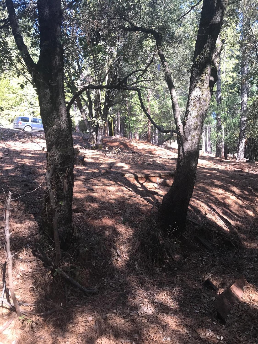 Sold $21,000 • Co-Listing Agent