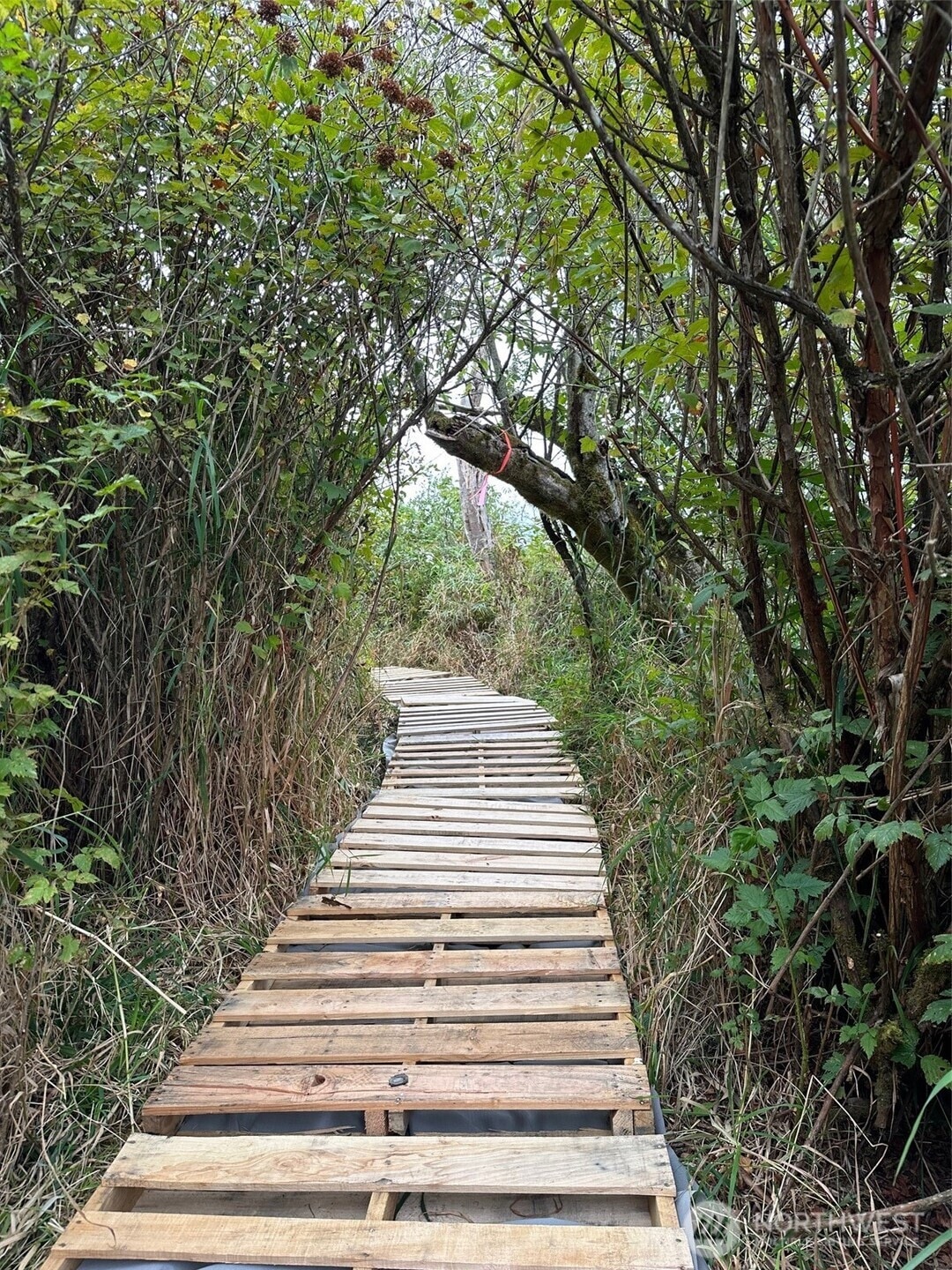 0 43rd Ave SE unit NWM2406006, Everett, WA 98201 - photo 1