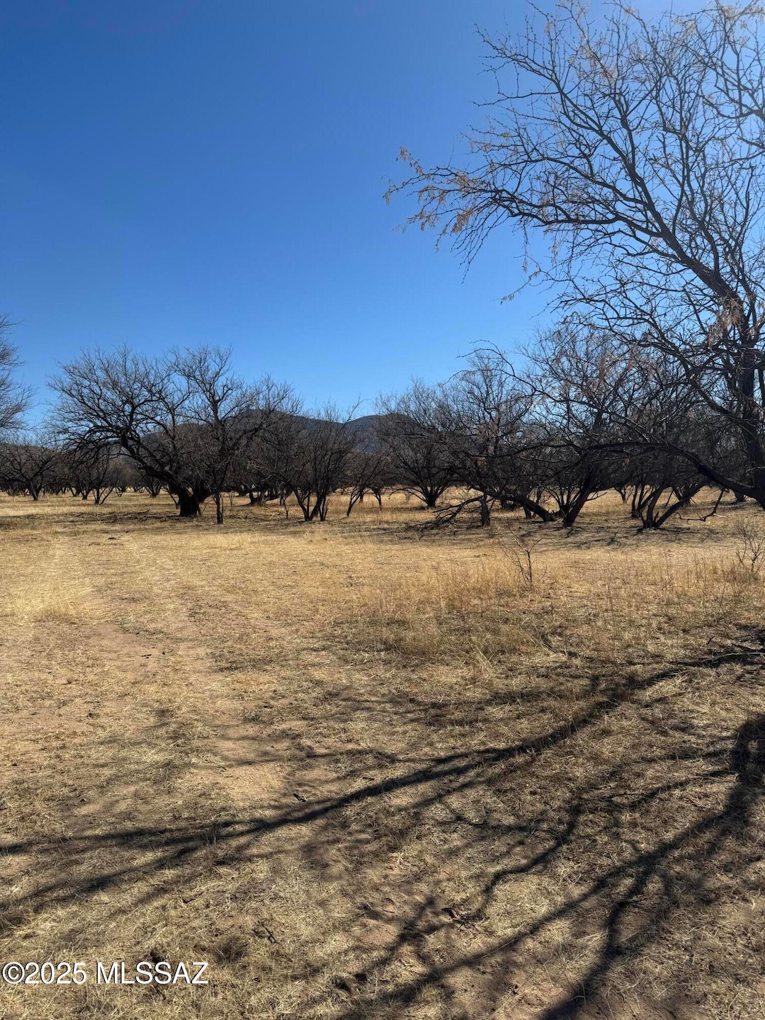 000 No Address unit 2, Nogales, AZ 85621 - photo 1