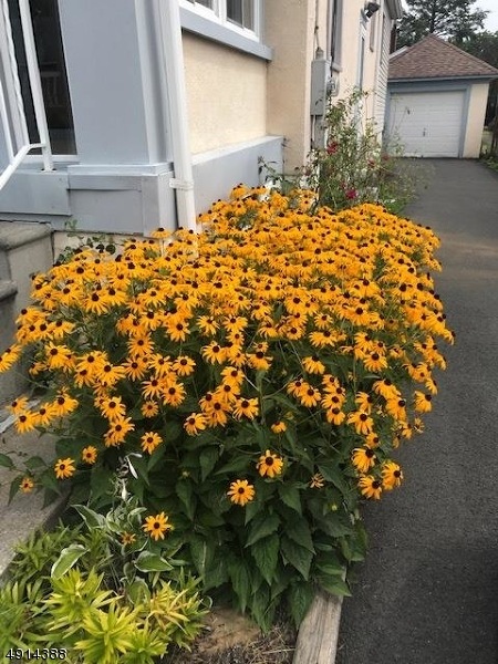 60 Kitchell Ave, Wharton, NJ 07885 - photo 1