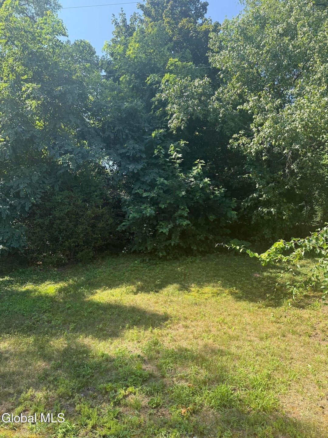 L23 Maple Rd, Slingerlands, NY 12159 - photo 1