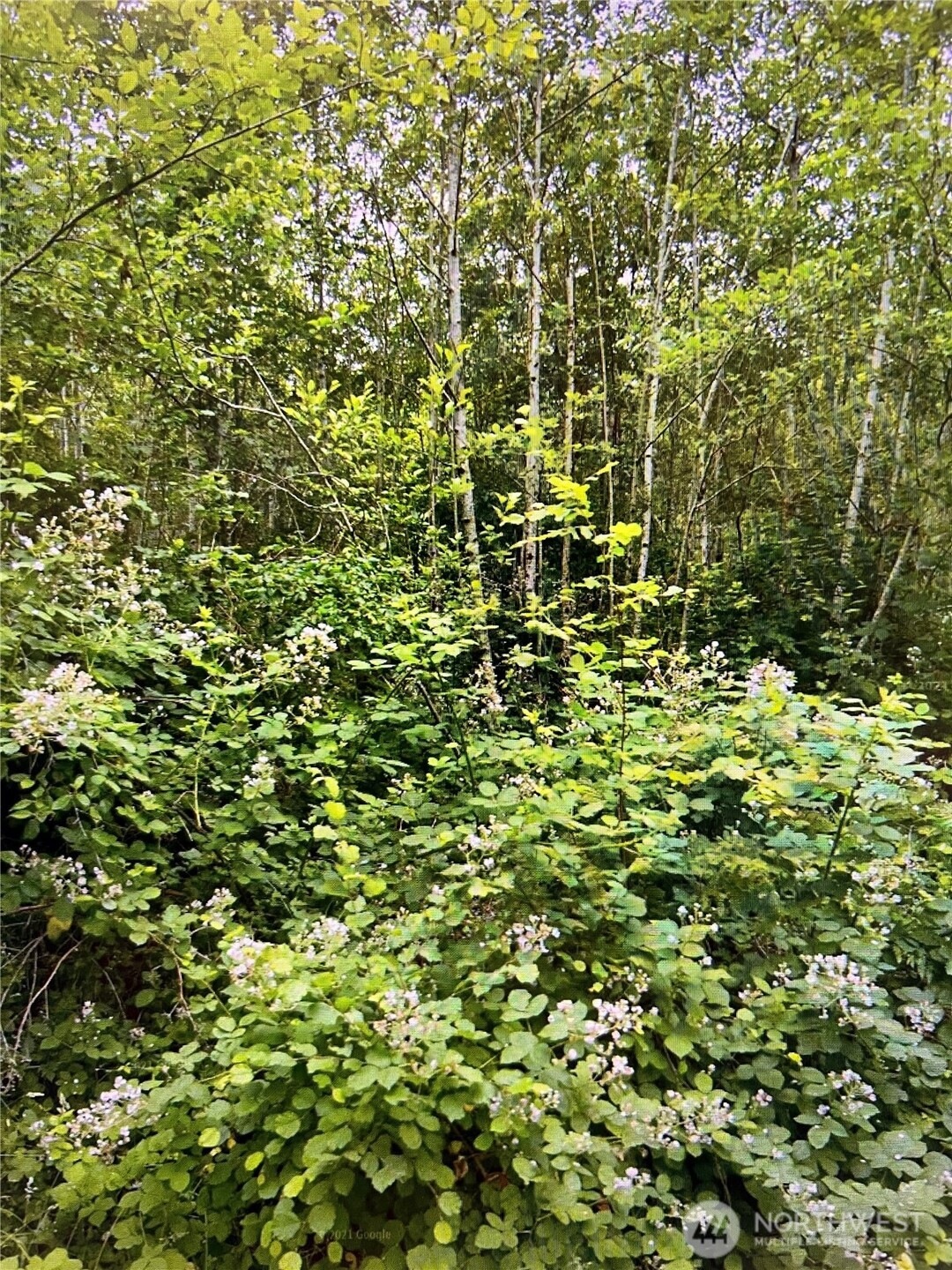 Sold $477,500 • Co-Listing Agent