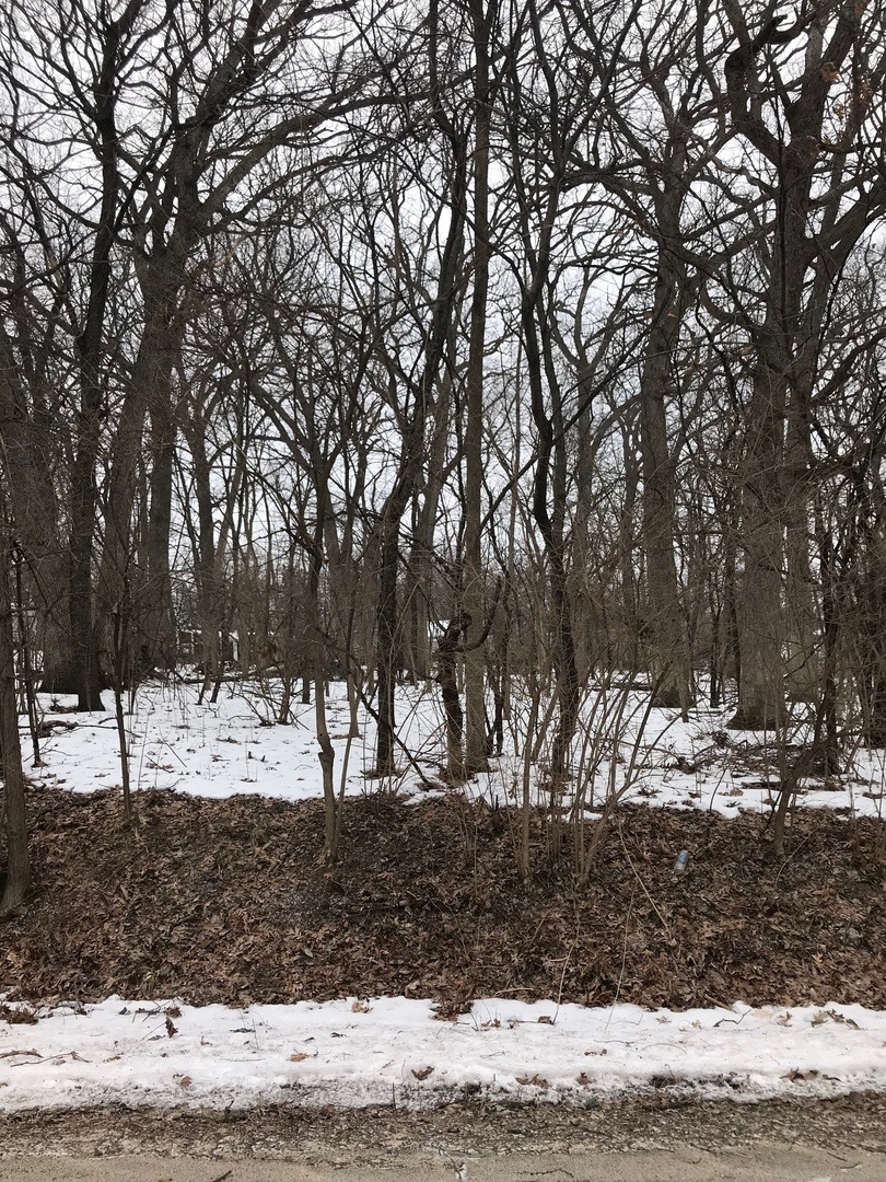 .1949 acre wooded parcel in Sunrise Ridge