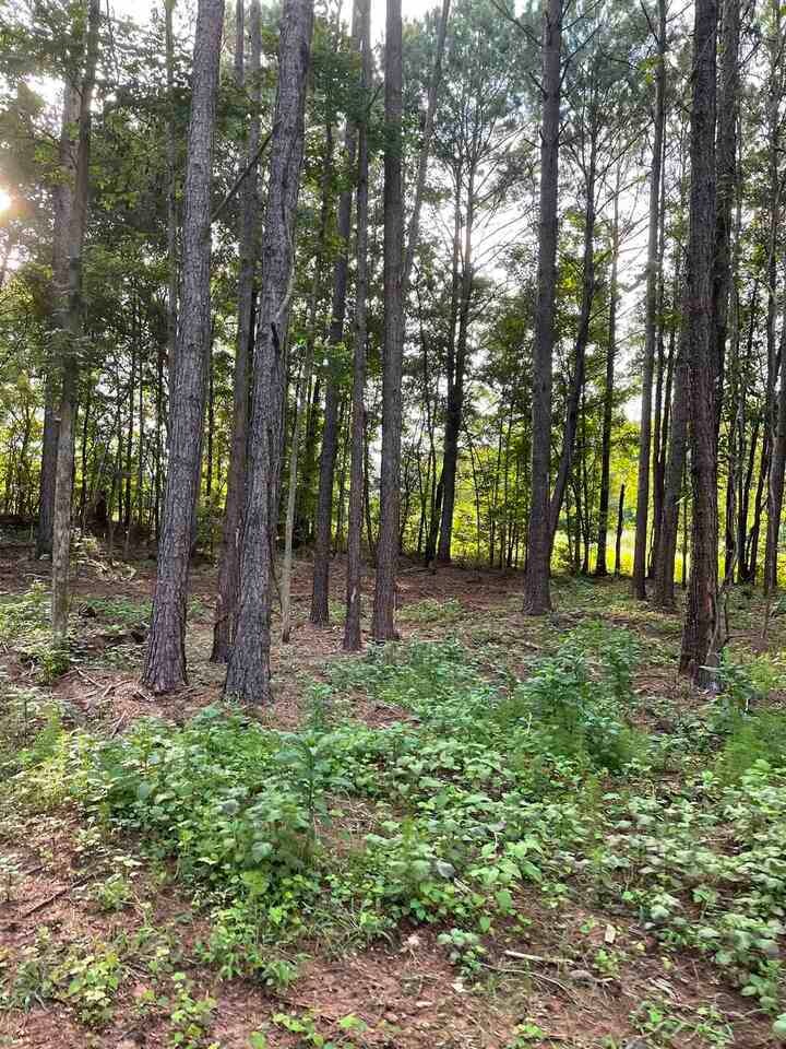 1262 Alcovy Station Rd, Covington, GA 30014 - photo 1