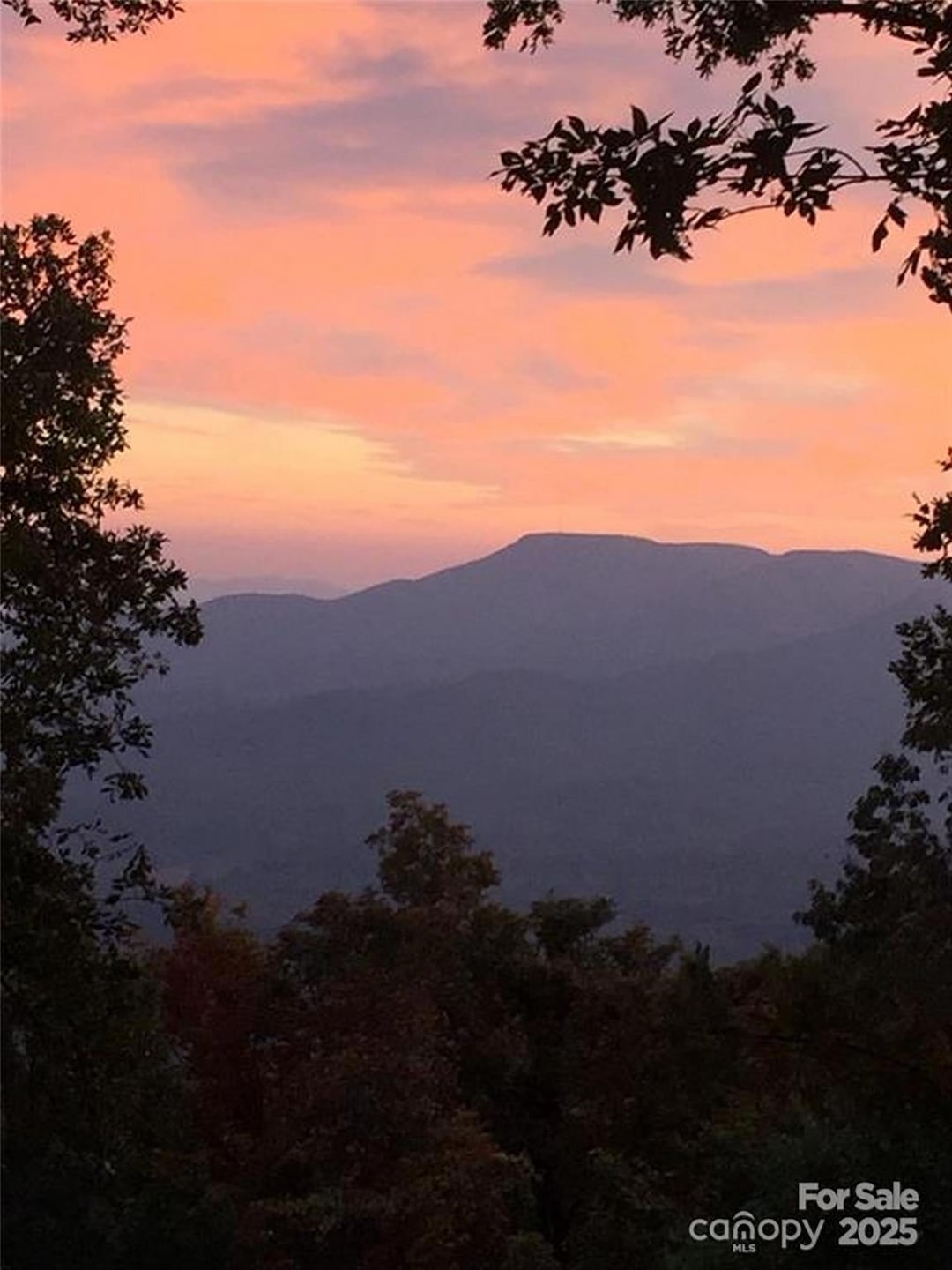 00 Morning Ride Dr unit 38, Columbus, NC 28722 - photo 1