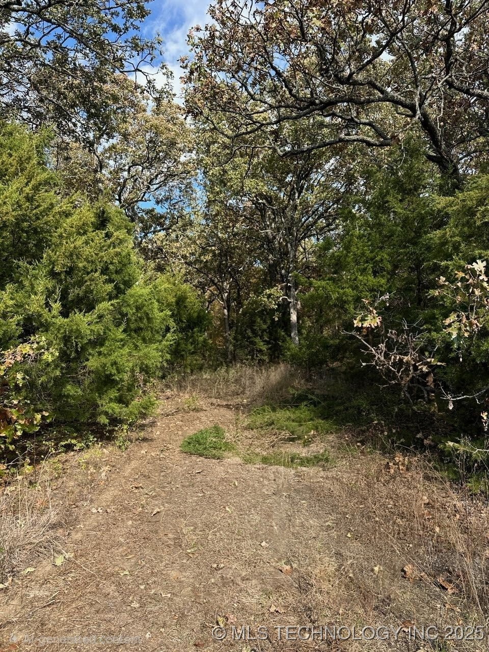 0 Mayes unit 2548587, Adair, OK 74330 - photo 1