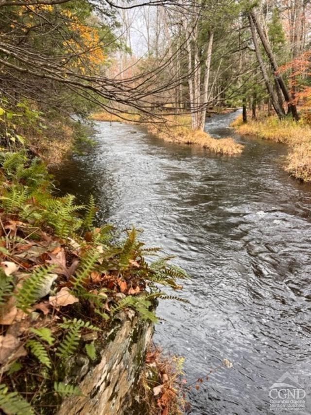 91 Laurie Ln, Cairo, NY 12058 - photo 1