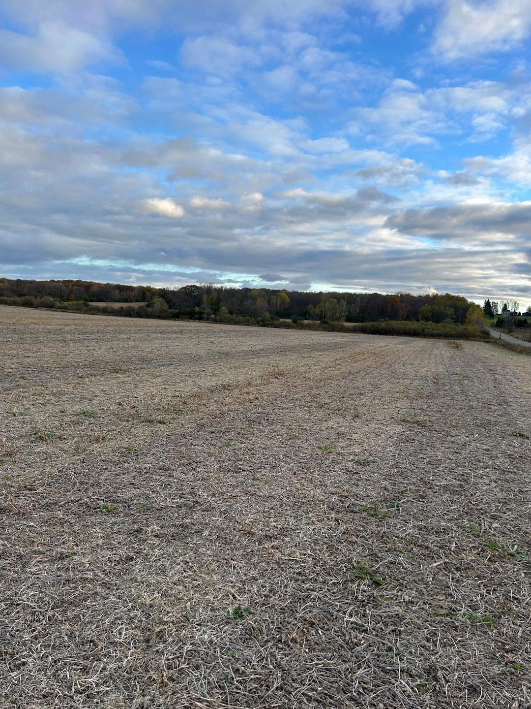 Pending $168,750 • Co-Listing Agent