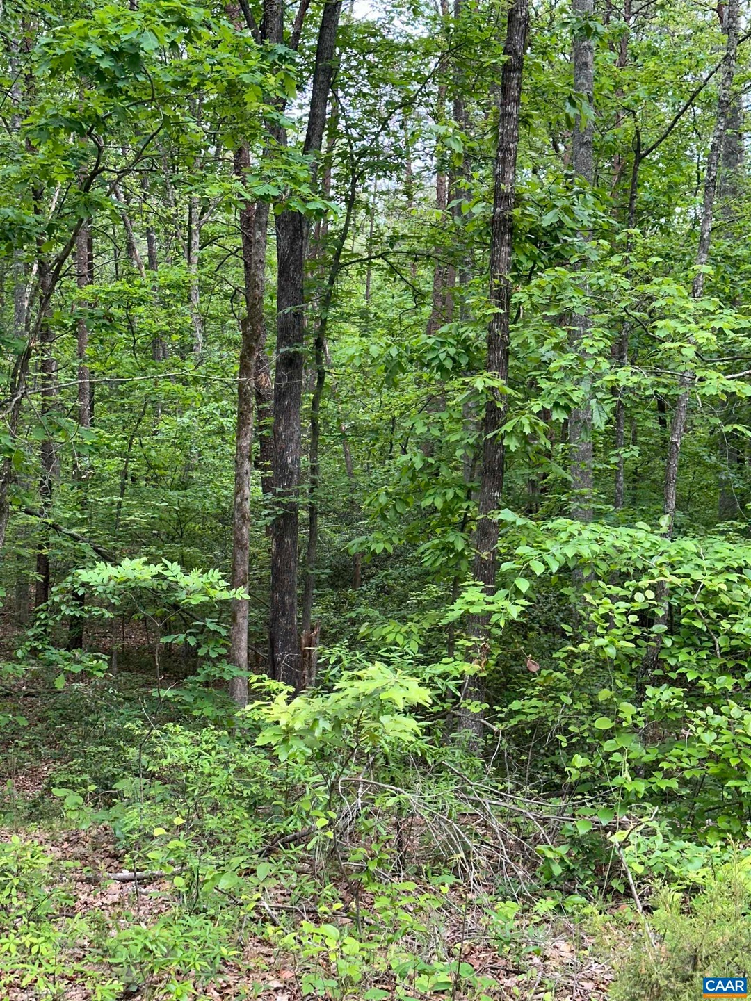 000 Harbor Dr, Orange, VA 22960 - photo 1