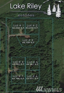 21316 268th Place NE, Arlington, WA 98223 - photo 1