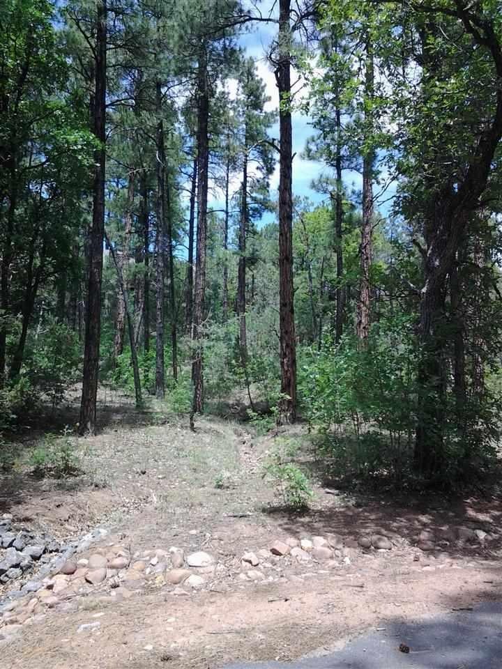 1100 Waterway Ln, Show Low, AZ 85901 - photo 1