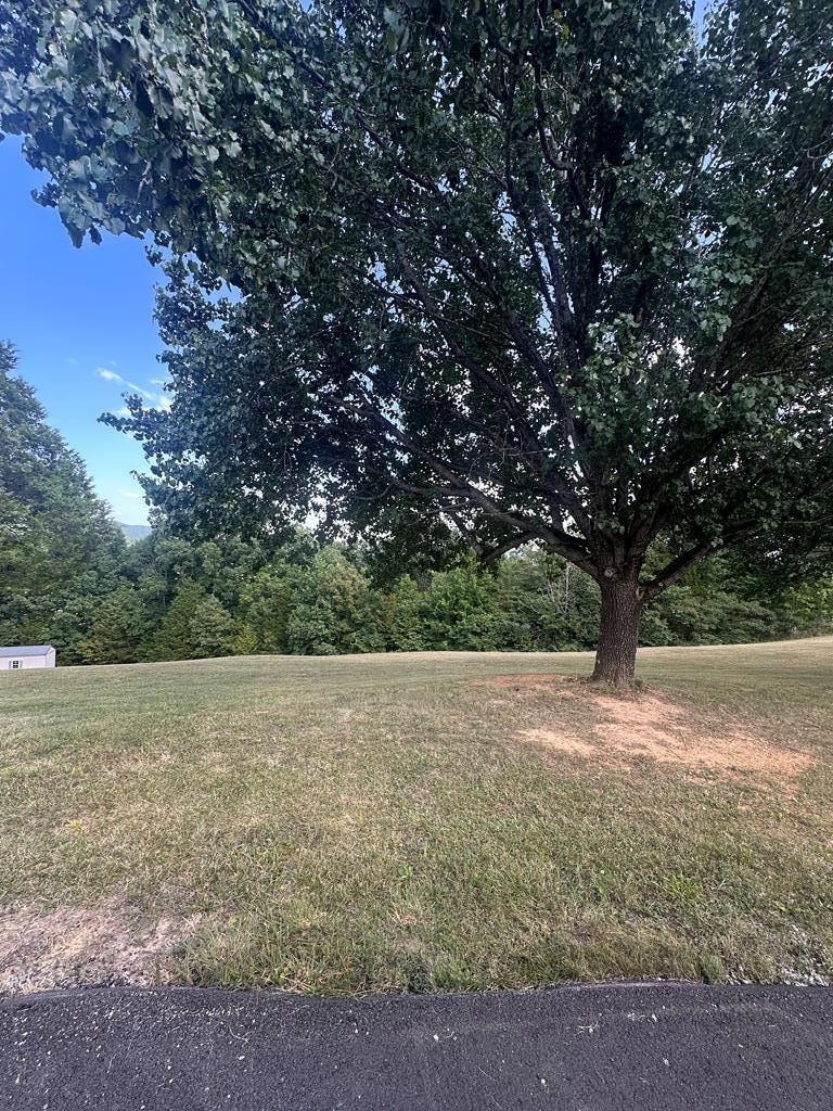 Lot Cliff Edge Rd, Monroe, TN 38573 - photo 1