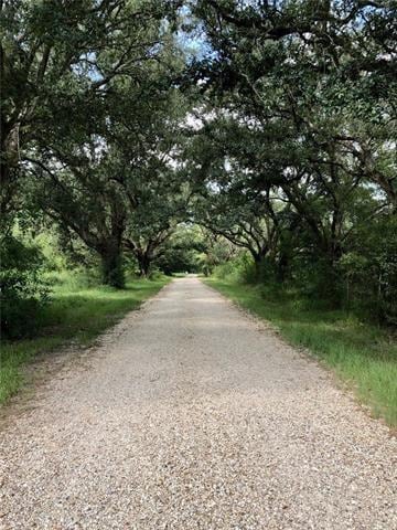 Parcel E Peters Rd, Madisonville, LA 70447 - photo 1