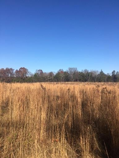 Beautiful Flat Land that Mature Trees Surround. Schools and Perking need to be verified by buyer