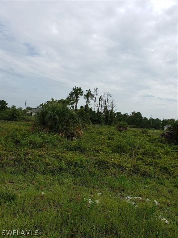 1229 Ermine St E, Lehigh Acres, FL 33974 - photo 1