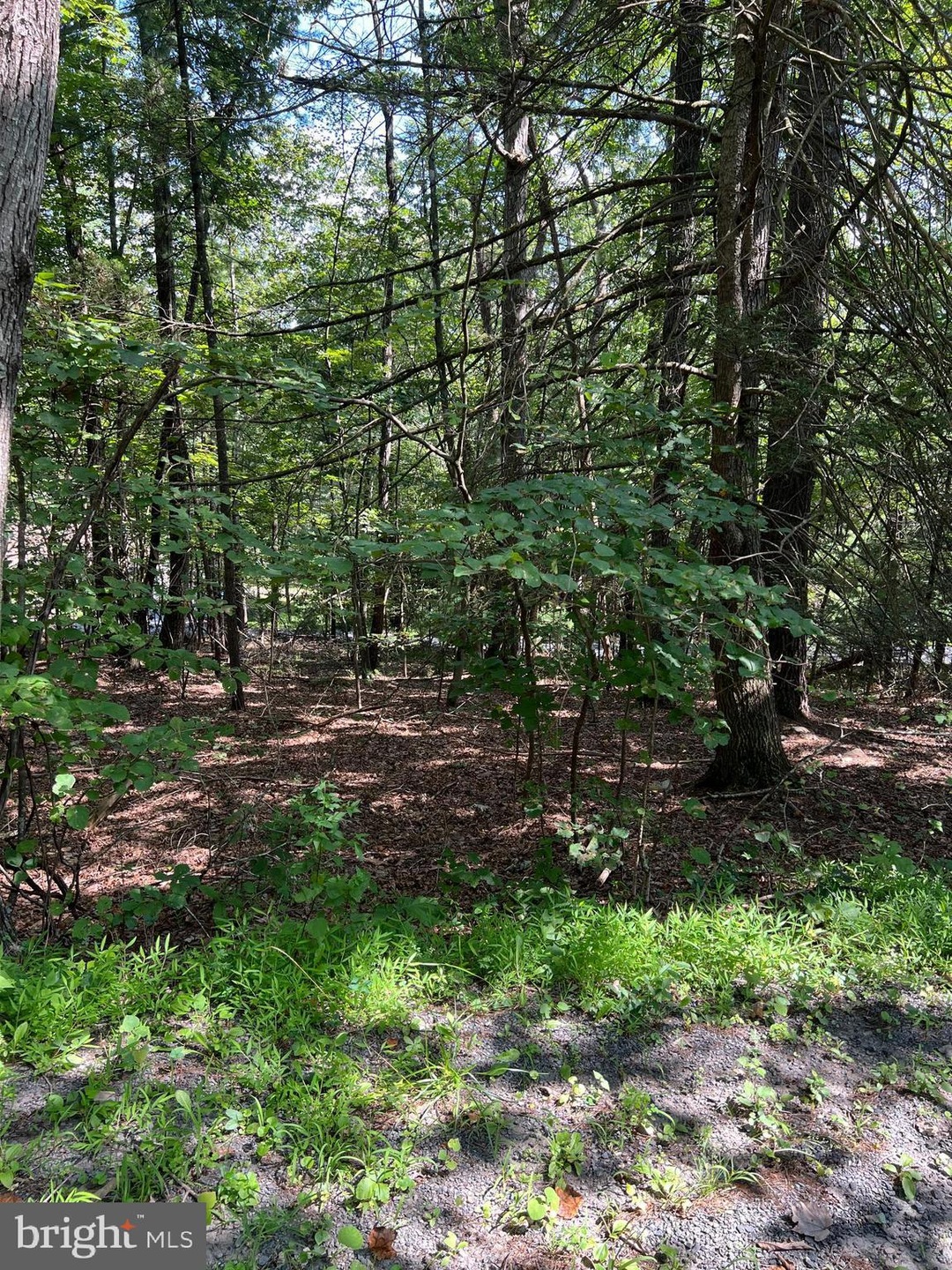 0 Crabapple Rd unit VASH2012222, Basye, VA 22810 - photo 1