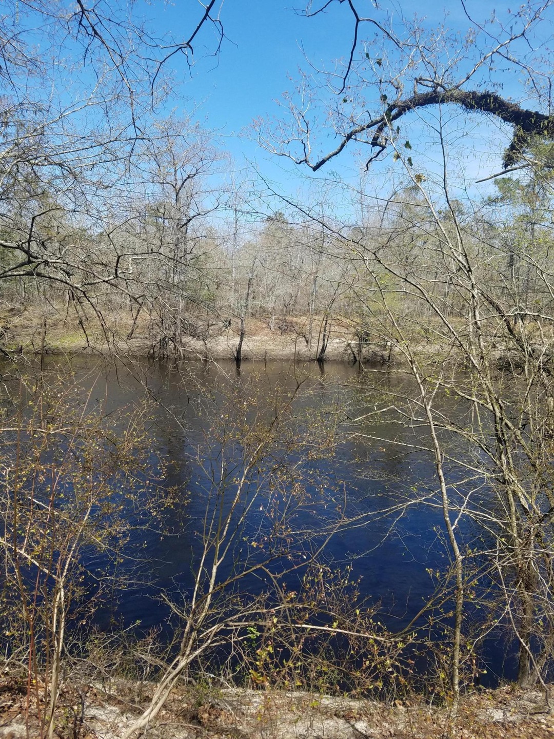 0 Ruddy Duck unit 100108774, Burgaw, NC 28425 - photo 1