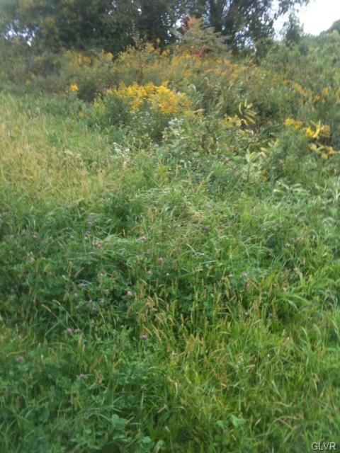 6 Toll Rd, Effort, PA 18330 - photo 1