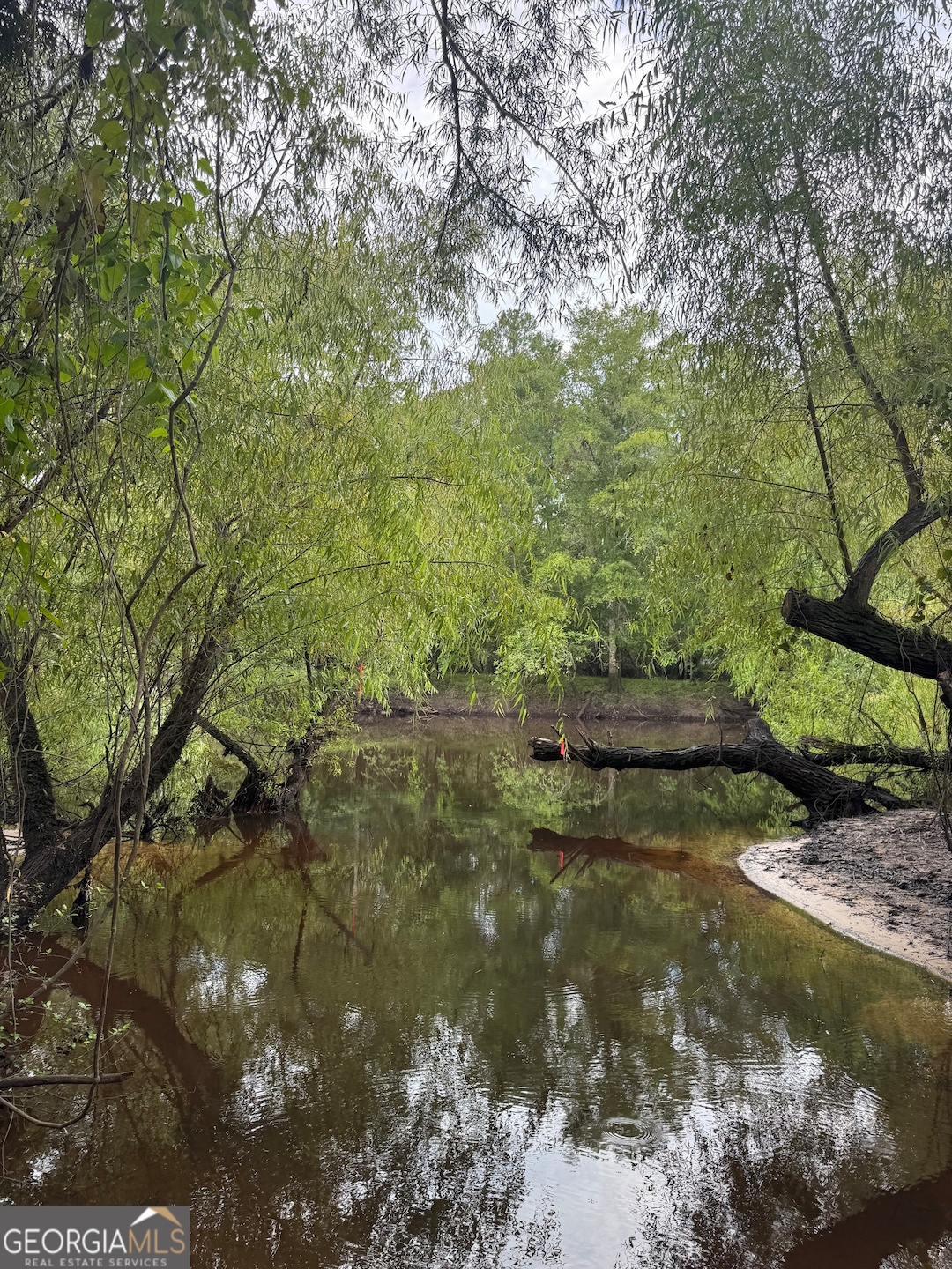 LOTS 91,92,93 & Charles Spikes Rd, Reidsville, GA 30436 - photo 1