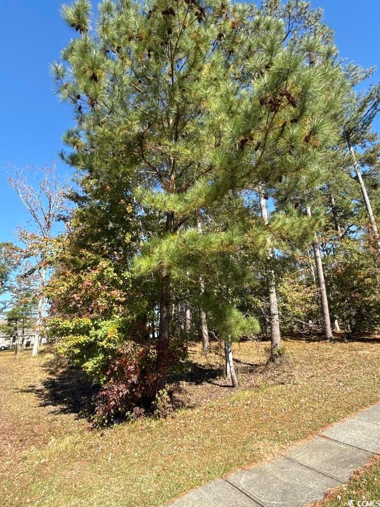 2405 Gist Ln, Myrtle Beach, SC 29588 - photo 1