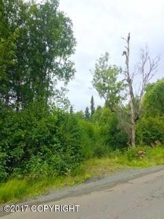 4050 Virgo Ave, Anchorage, AK 99516 - photo 1