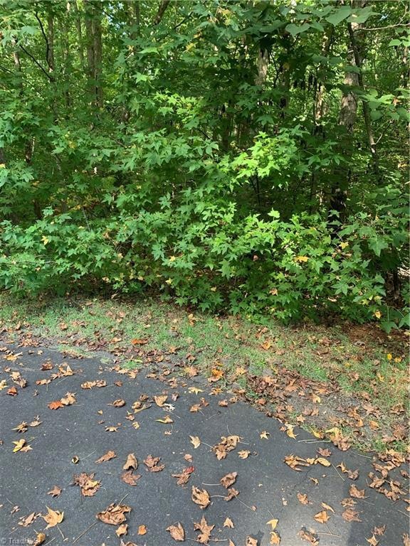 0 Woodlane Ct, Asheboro, NC 27205 - photo 1