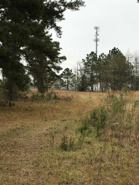 188 Drayton Ln, Sylvester, GA 31791 - photo 1