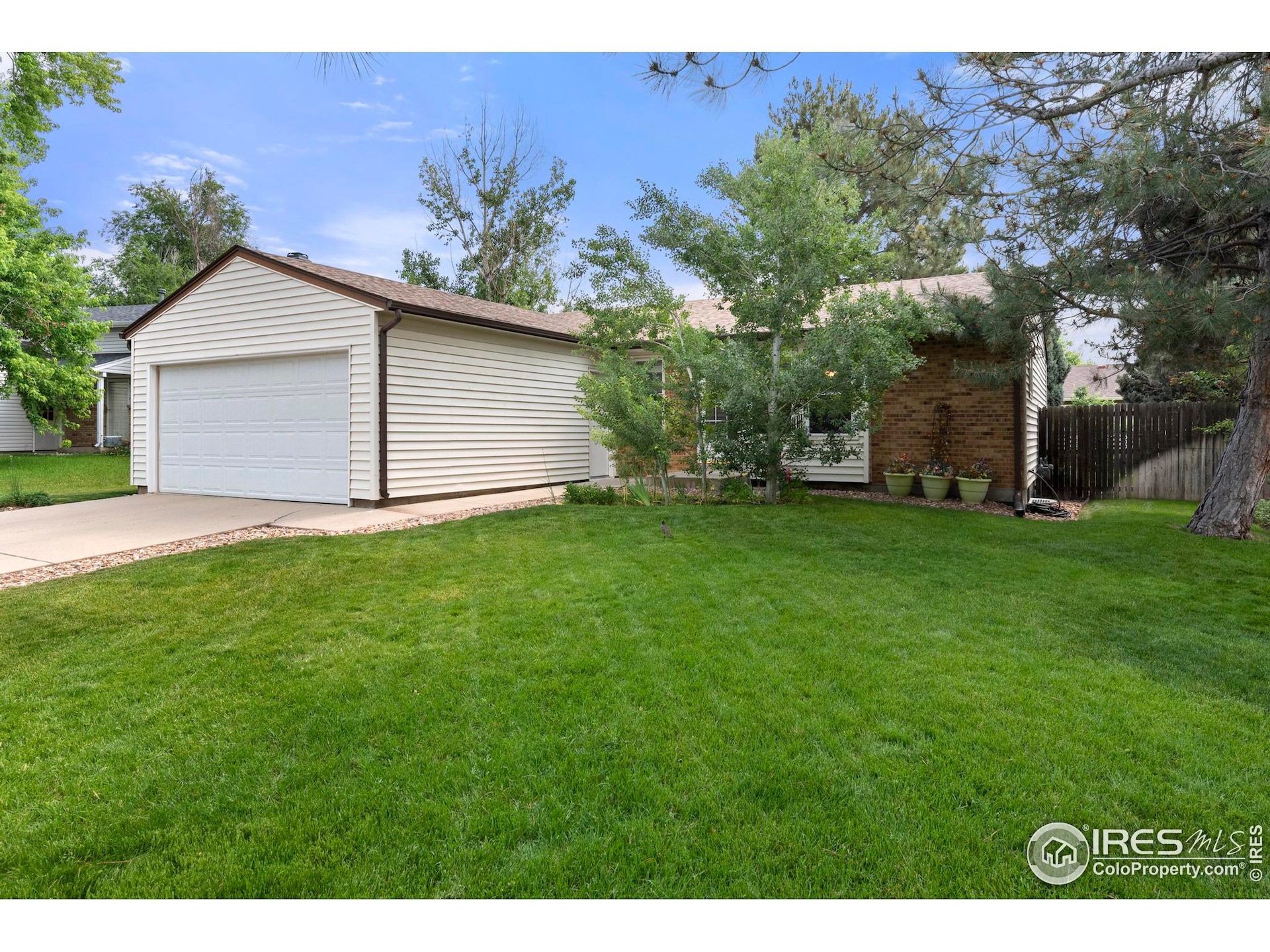 12428 Ash Dr, Thornton, CO 80241 - photo 1